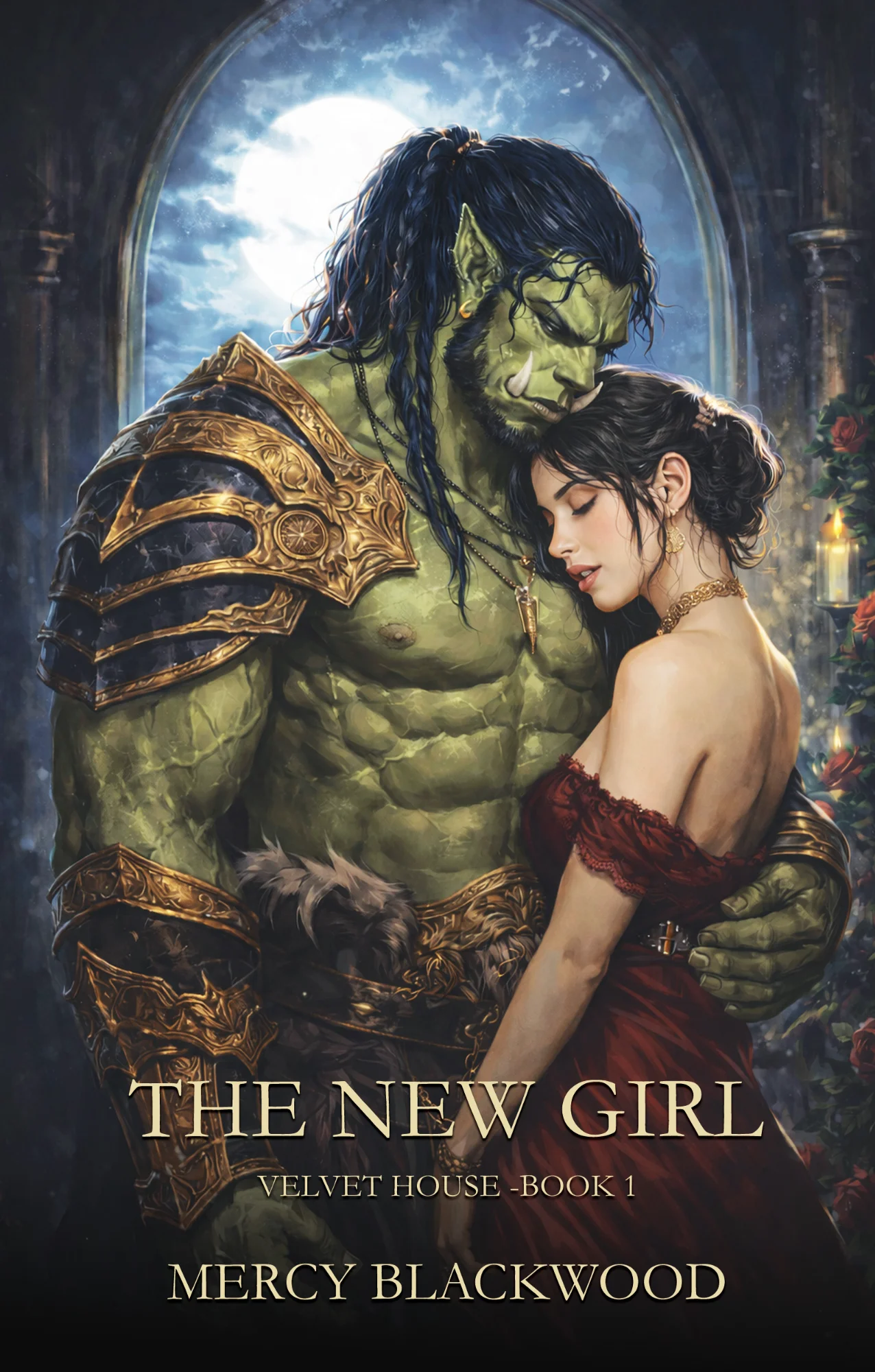 The New Girl - Book Cover